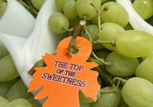 Uva da tavola di Mazzarrone